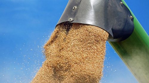 Comisia Europeană cere Poloniei, Ungariei și Slovaciei să ridice restricțiile pentru importurile agricole din Ucraina