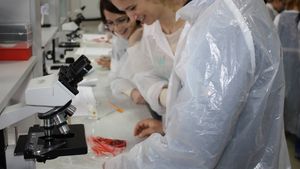 Pâinea cu gust de friptură și berea cu extract din coajă de vinete. Cum reușește Galațiul să domine piața de ingineri de industrie alimentară din România
