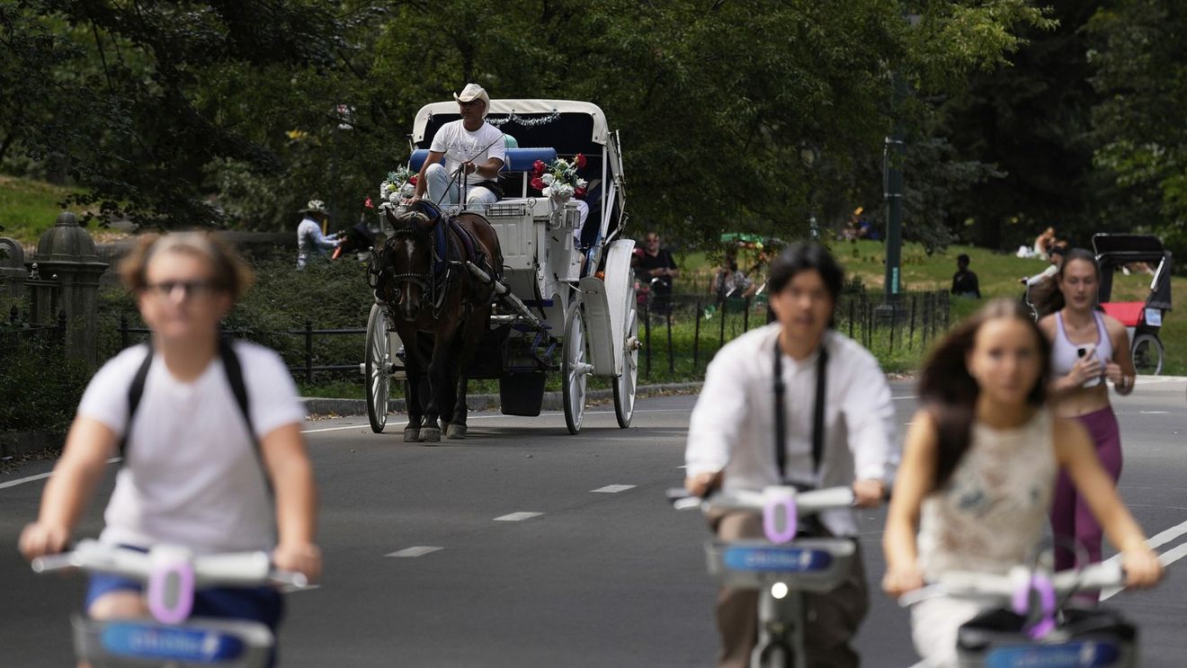 Calea spre interzicerea trăsurilor cu cai în Central Park