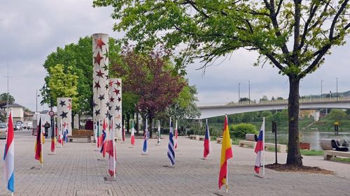 Organizația de business Coaliția pentru Dezvoltarea României cere primirea României în Schengen