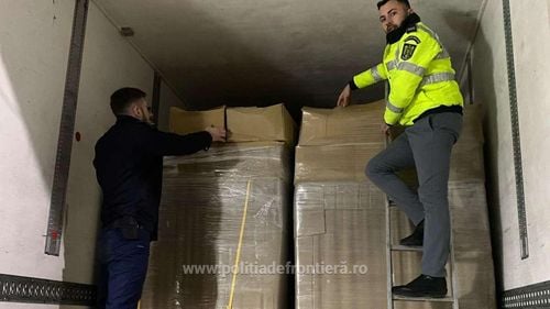 Aproximativ 5 milioane de țigarete, descoperite la Vama Bechet, într-un TIR care aducea produse de patiserie refrigerate din Grecia