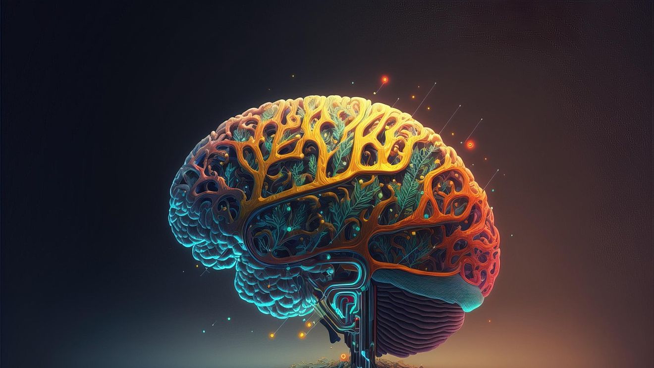 Cum îți poți „păcăli” creierul să rămână motivat: un truc psihologic susținut de neuroștiință