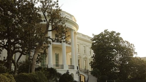 Jackson Magnolia, cel mai bătrân copac de la casa Albă, va fi tăiat / A fost plantat acum aproape 200 de ani