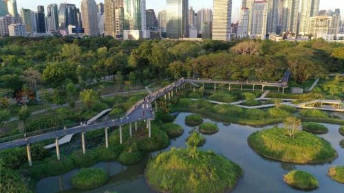 Oraşele-burete, un model urbanistic pentru salvarea planetei: Invenția care duce la scăderea temperaturii ambientale și la crearea de vegetaţie nouă