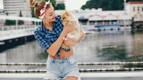 De ce scade numărul animalelor de companie în Olanda: Tendințe post‑pandemice