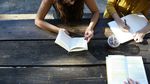 Ministrul Educaţiei: În SUA, peste 90% dintre studenţi participă la internshipuri; în România, mai puţin de 10%