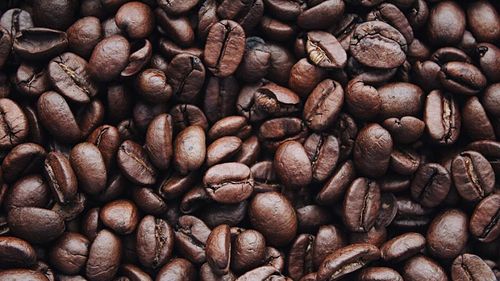 Oamenii de știință cred că au dat de urma boabelor din cafeaua de dimineață/ Arabica ar putea avea până la 600.000 de ani