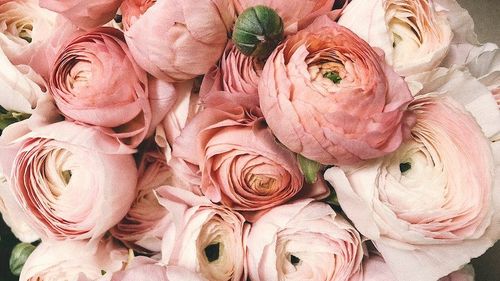 Românii vor cumpăra flori de peste 32,5 milioane de euro, în perioada 1 - 8 martie, arată o analiză a unei companii de consultanță