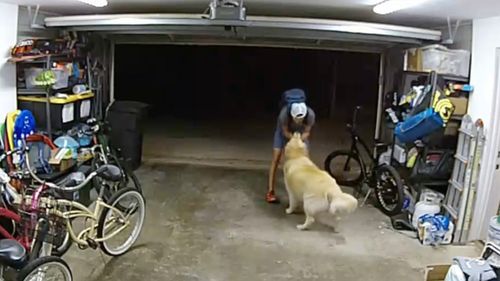 Câinele, cel mai bun paznic? Un hoț de biciclete din SUA s-a oprit din furat ca să se joace cu câinele prietenos care ar fi trebuit să îl pună pe fugă
