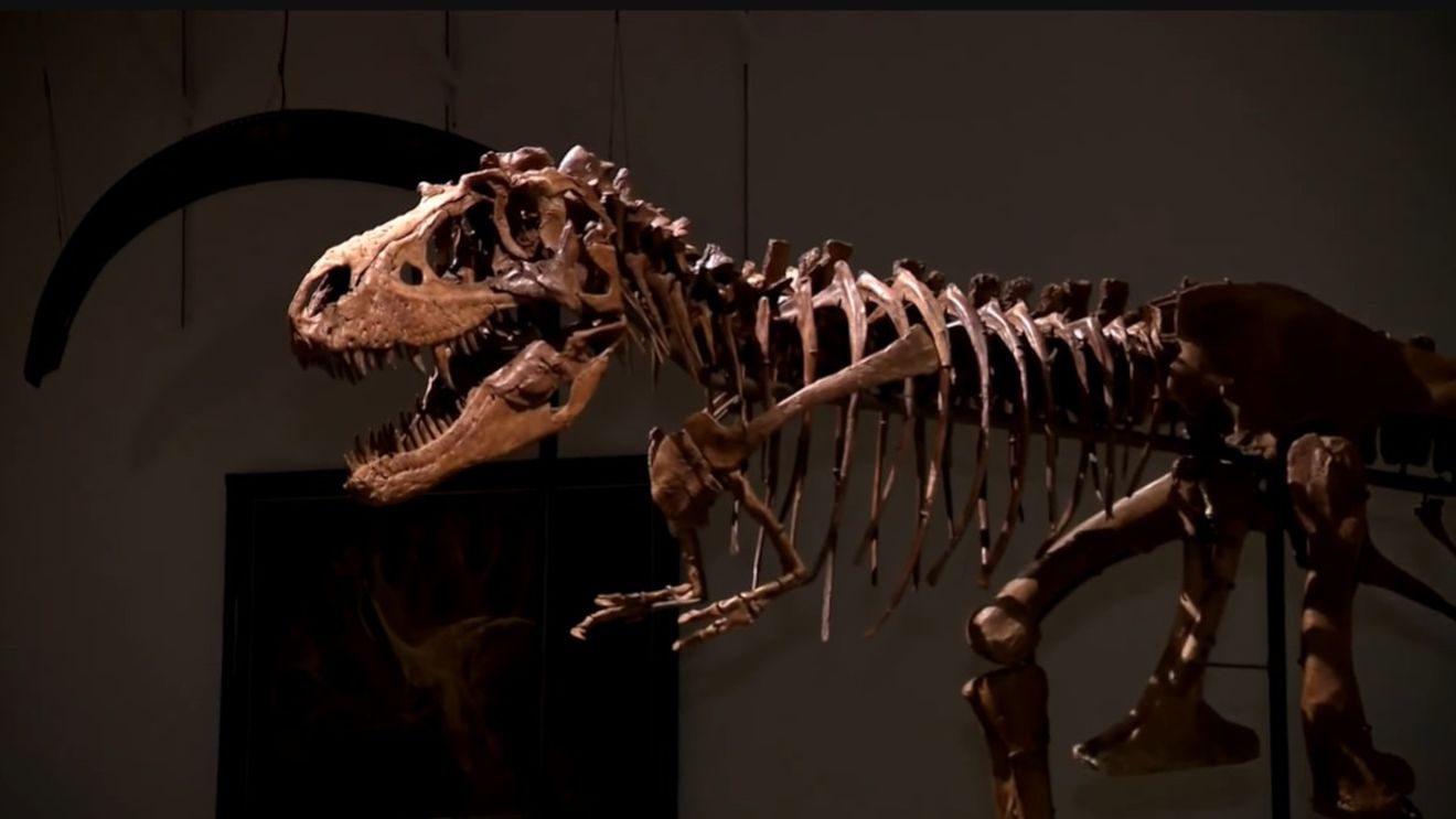 Cum arăta dieta unui dinozaur adolescent: O fosilă rară descoperită în Canada oferă răspunsul
