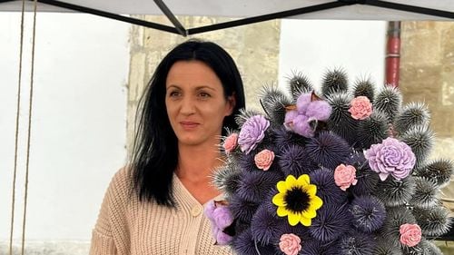 O sibiancă face bani din ciulinii Bărăganului / E singurul producător de ciulini din zonă: creează buchete și aranjamente florale / ”E o plantă pe cât de nedorită, pe atât de frumoasă dacă știi să o pui în valoare”
