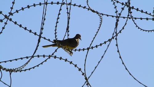 Judecătorii italieni refuză extrădarea unui deținut român după ce statul român nu le-a răspuns la nicio cerere privind condițiile din închisori / Deținutul insistă: ”Nu au nici apă caldă!”