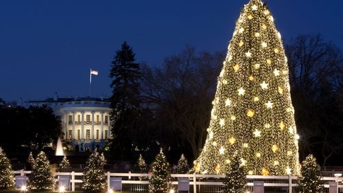 Planificarea Crăciunului începe devreme, inclusiv la Casa Albă: Povestea bradului oficial din 2024