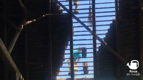 O bucureștencă mutată în Sibiu transformă o șură dintr-o comună într-un centru educațional / Asociația pe care a fondat-o investește 400 de mii de euro / ”Aici viața este mult mai echilibrată, lucrurile sunt mult mai așezate”