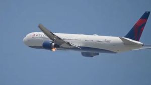 Un avion Airbus care efectua o cursă de la Madrid la Paris s-a întors din drum, după decolare, fără bot, după o coliziune cu un vultur