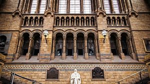 Conţinutul întregii biblioteci personale a lui Charles Darwin, dezvăluit pentru prima dată / Ultima carte care i-a fost citită cu voce tare