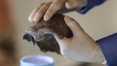 Scandal în Germania după ce mai multe cranii au fost datate în mod eronat şi catalogate ca descoperiri senzaţionale