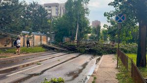 FOTO VIDEO | Haos în București după potop: Stația de metrou Piața Victoriei 2, închisă miercuri dimineață / Trasee schimbate în transportul în comun / Pasaje rutiere, străzi și stații de metrou inundate, sute de copaci smulși, aproape 1000 de intervenții ISU în codul roșu de vijelii care a măturat Bucureștiul