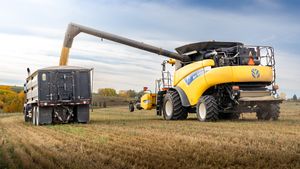 Agricultorii anticipează scumpiri la alimente din cauza producției agricole mondiale slabe / Situația nu depinde de recolta internă / Theodor Ichim, mare fermier: Dacă se face producție în România și există cerere mondială, toată lumea se va duce către export