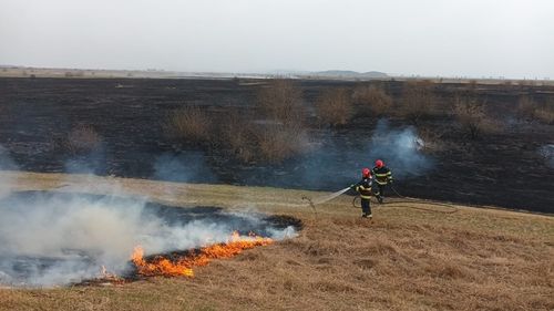 Schimbările climatice aduc dezastre în România. Lacuri întregi au dispărut, pădurile s-au uscat și au izbucnit incendii