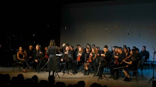 Două licee din Bistrița protestează după ce Inspectoratul județean a decis desființarea unor clase unice la nivel local – de muzică și arhitectură