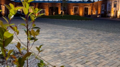 Efectul magiei din curtea ta cu promoția Elis Pavaje