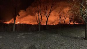 Incendiu pe 30 de hectare de teren în Tulcea
