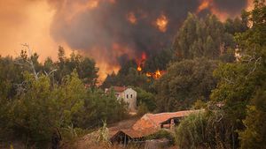 Atenţionare de călătorie a Ministerului de Externe: Italia - cod portocaliu şi galben de incendii de vegetaţie