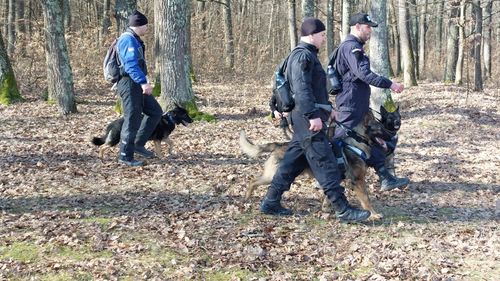O persoană împuşcată, găsită într-o pădure din localitatea Mogoşoaia / Anchetă a poliţiştilor şi procurorilor
