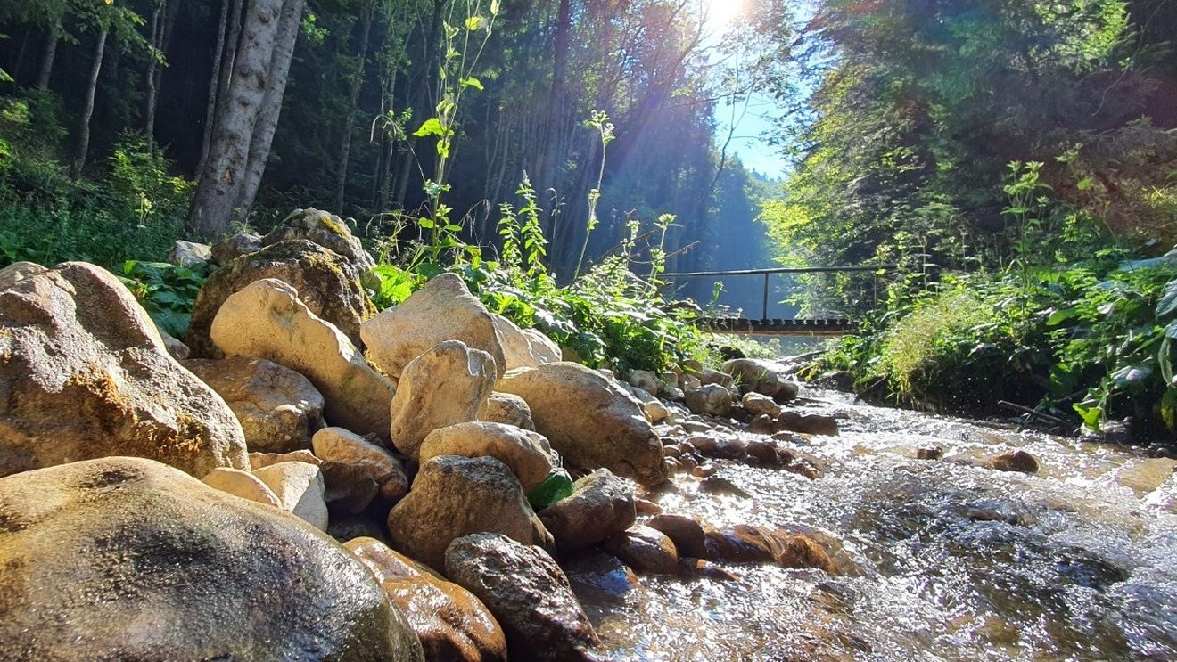 Canionul 7 Scări din județul Brașov se deschide în weekend. Tiroliana rămâne închisă