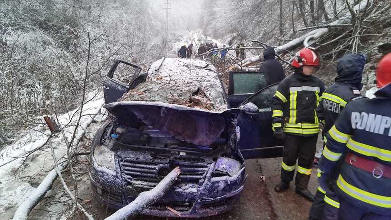 Adolescent de 14 ani mort după ce un copac a căzut peste maşina în care se afla, în Caraș-Severin