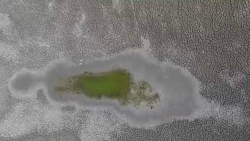 Efectele secetei prelungite: seacă ”Delta din Carpați” și Delta Văcărești / Apa se evaporă, peștii mor, iar mai multe specii de păsări sunt în pericol / ”Întregul ecosistem se va distruge” / Canicula va continua și în această săptămână