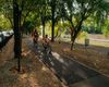 Primăria Timișoara, proiect pentru o pistă de biciclete de aproape 3 kilometri, între Podul Andrei Șaguna și comuna Ghiroda