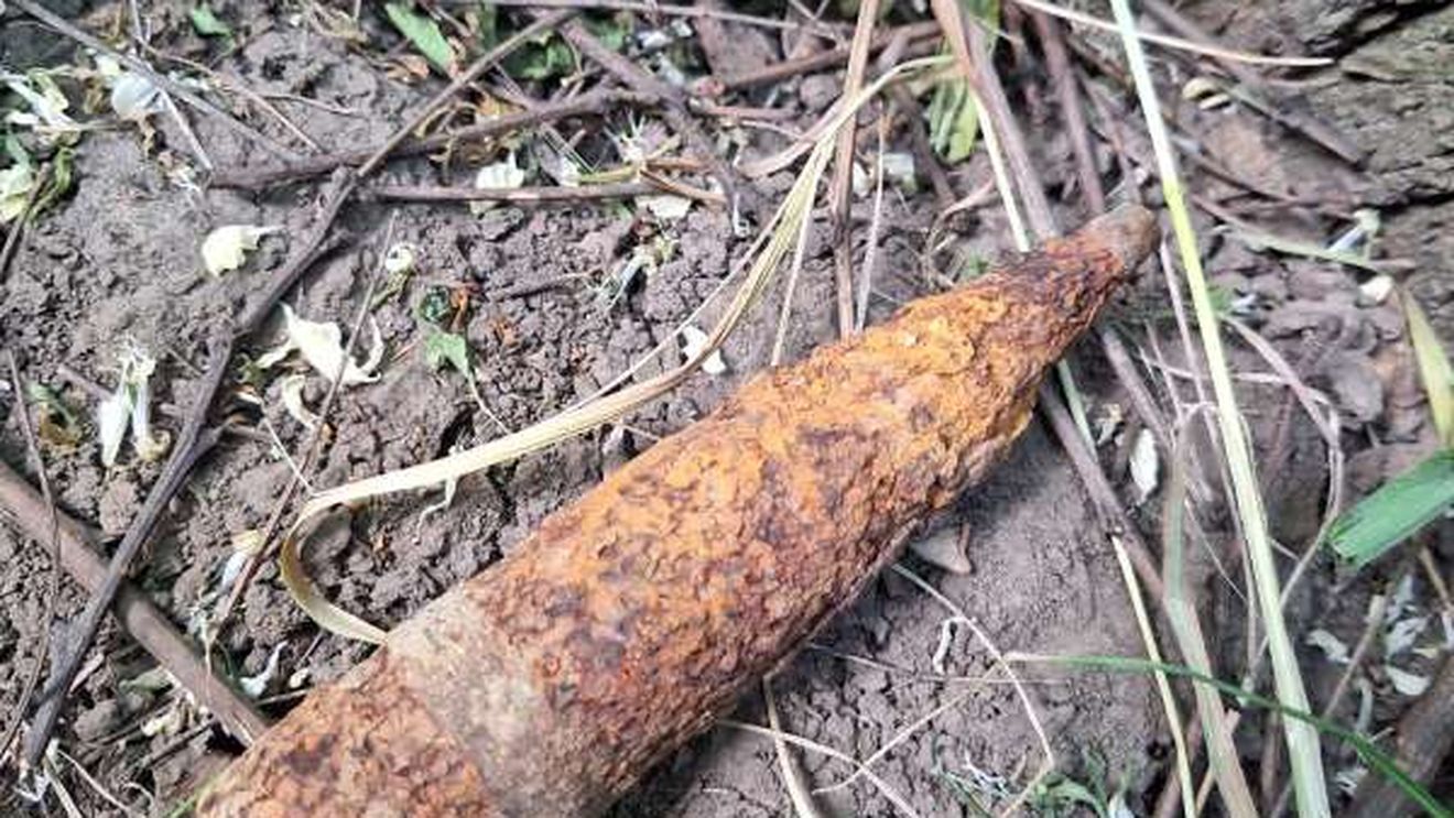 Proiectil găsit în trunchiul unui copac rupt de pe marginea unui drum din Botoșani / Un șofer care a oprit lângă copac a alertat poliția