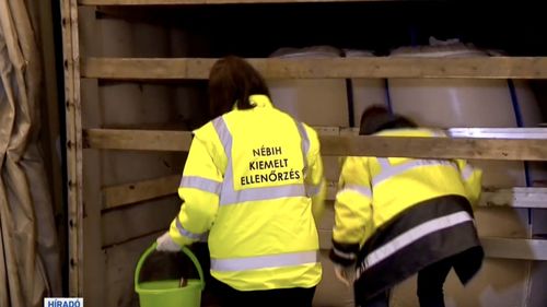 Cerealele ucrainene pot trece prin Ungaria numai cu camioane sigilate și strict controlate de autorități