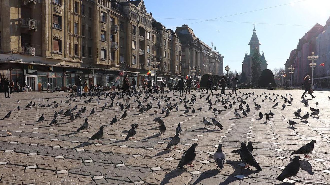Primăria Timișoara a somat proprietarii a aproape 2000 de clădiri aflate în stare de degradare