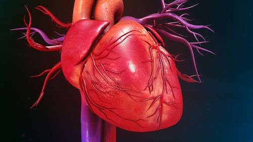 O echipă internațională de oameni de știință lucrează la un tratament care să acționeze simultan asupra diabetului şi bolilor de inimă