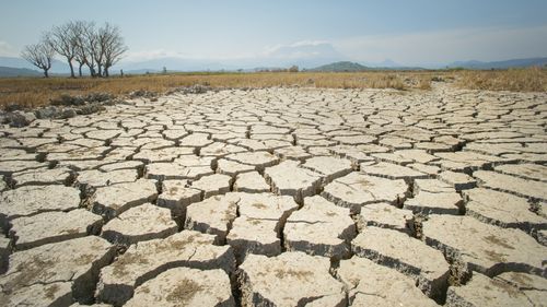 Marea Britanie trebuie să se pregătească urgent pentru temperaturi mai ridicate, avertizează consilierii climatici / Țara nu ar face față fenomenelor meteo extreme