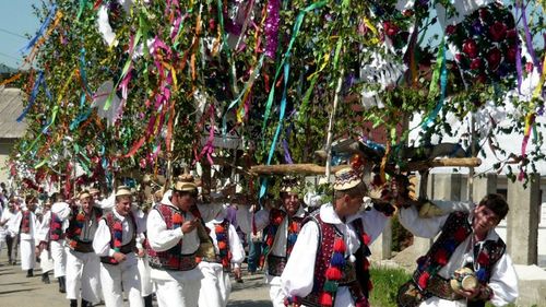 Cel mai harnic om din sat, sărbătorit la Tânjaua Hotenarilor, eveniment vechi din județul Maramureș / Marinca Viorel va primi ritualul de spălare, iar Coconii din Breb, Coconii Deseștiului și Cosăul din Budești vor fi parte din spectacolul artistic