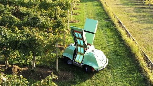 Un robot autonom curăță vița de vie de ciuperci și mucegai folosind lumină UV / Poate reduce consumul de fungicide cu până la 70%