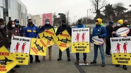 Protest la stadionul Arcul de Triumf, suporterii au ieșit în stradă: Stroe și Novak au defrișat stejarii / Reacția ministerului