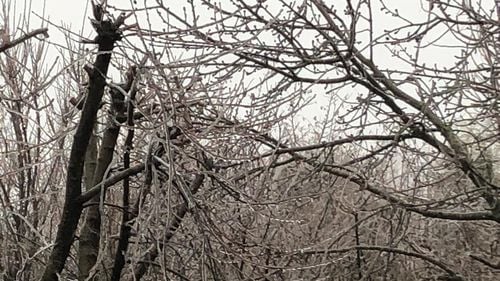 Cod galben de burniță și polei în Maramureș și Cluj, vânt puternic în zona de munte în Suceava și Neamț