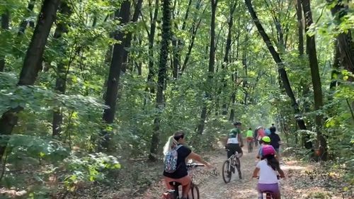 VIDEO Primul traseu pentru biciclete amenajat exclusiv în pădure în zona București-Ilfov, inaugurat / Ruta 10 a fost amenajată în pădurea Pustnicu