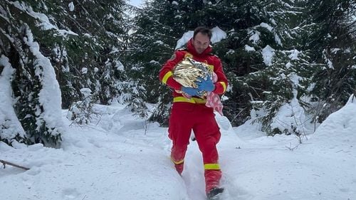 Șapte copii ai unei femei din Apuseni, care a murit după ce a născut acasă, preluați de autorități. Cel mai mic, de doar câteva zile, transportat în brațe prin nămeți, de salvatori