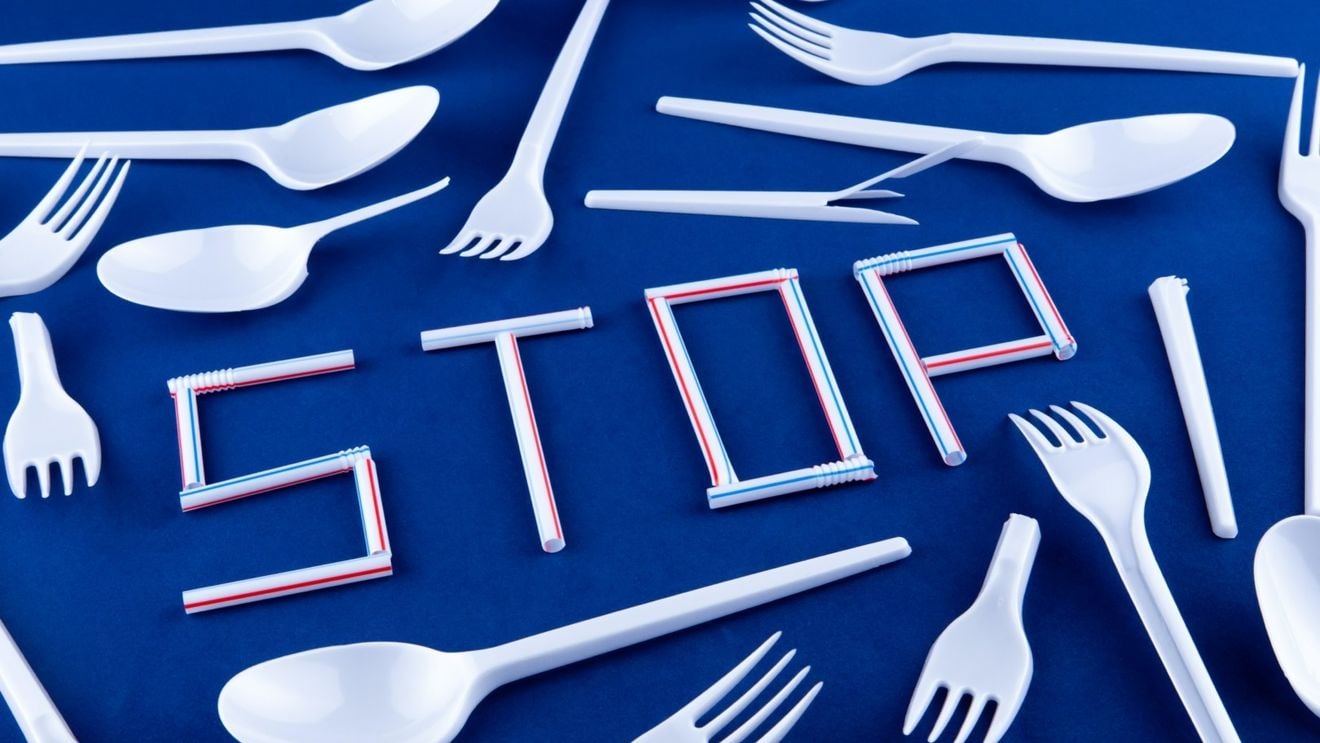 Guvernul declară război produselor din plastic de unică folosință. Vor fi interzise bețișoarele pentru urechi, tacâmurile și paiele / Autoritățile, obligate să creeze un sistem pentru colectarea separată a PET-urilor