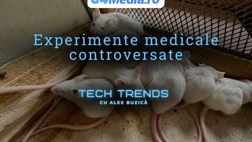 Japonia va permite oficial experimente în care celule umane sunt introduse în embrioni de animale