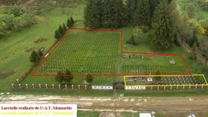 Oficiul pentru Cultul Eroilor despre Cimitirul Valea Uzului: Primăria Sânmartin a amplasat 600 de cruci fără aviz, cu finanțare din Ungaria, pe locuri în care erau îngropați soldați maghiari, români și de alte naționalități. Primăria Dărmănești a construit 50 de cruci fără aviz pe locuri fără morminte