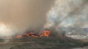 Ministrul Mediului a dispus control la gropile de gunoi: Vara apar incendii / Nu ajung materiale tratate aşa cum ar trebui, sortate aşа cum ar trebui, nu reciclăm câte materiale ar trebui