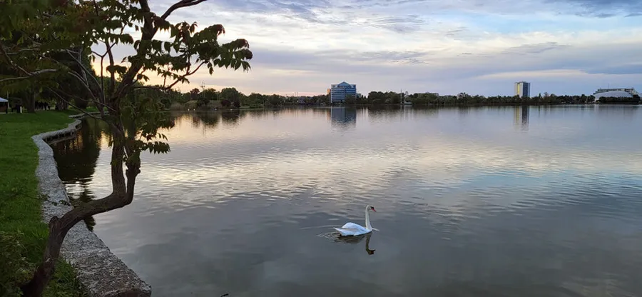 constanta lac lebada peisaj