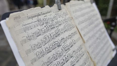 Universitățile de muzică: Reducerea orelor în liceu amenință locurile de muncă ale profesorilor și formarea artistică a elevilor / Cer instrumente în școli, coruri sâmbăta și jazz-pop la vocațional